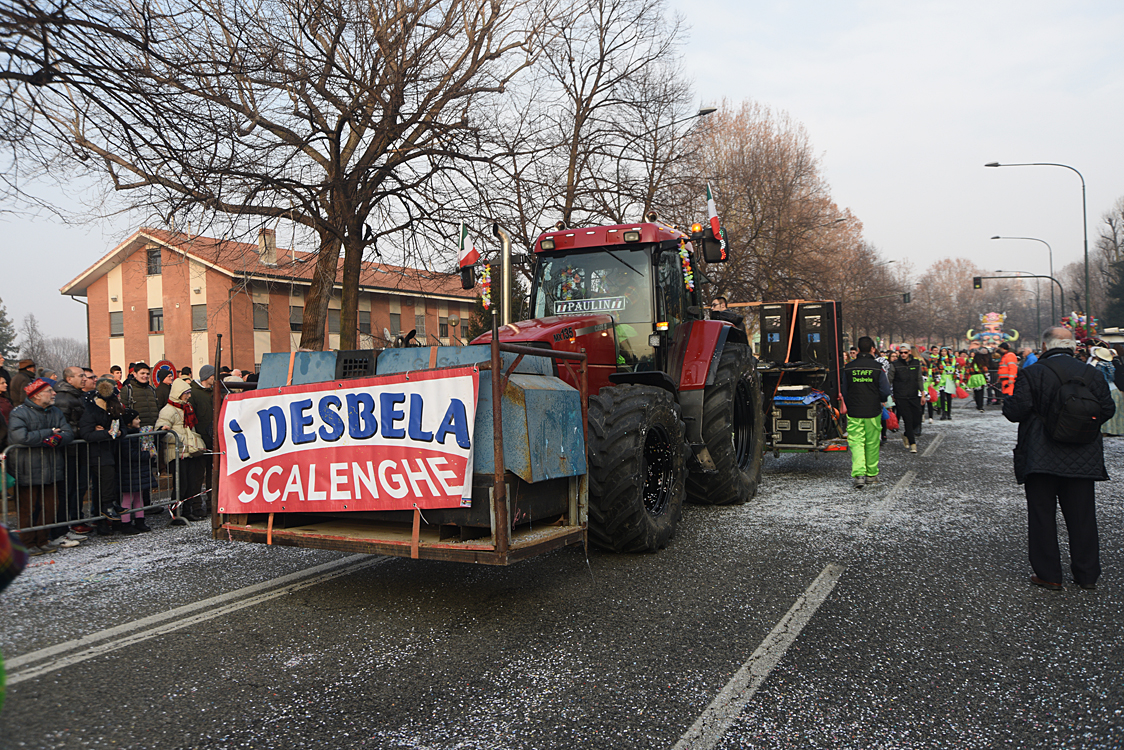 Sfilata carri Carnevale di Torino_177.jpg